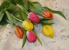 D-Tulpenstrauss-17.jpg